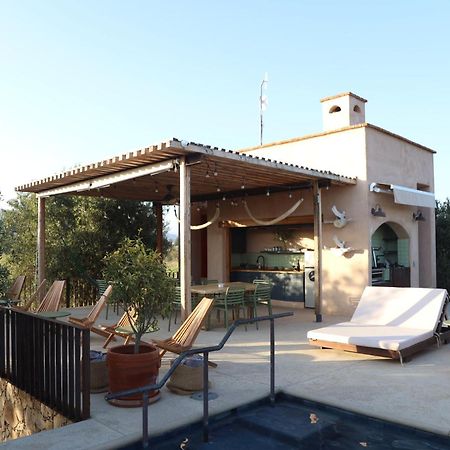 Alma Liebre Vinedos Del Valle Guadalupe Eksteriør billede