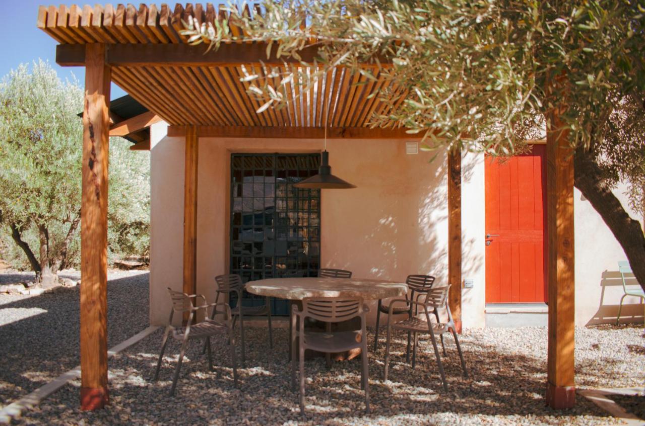Alma Liebre Vinedos Del Valle Guadalupe Eksteriør billede