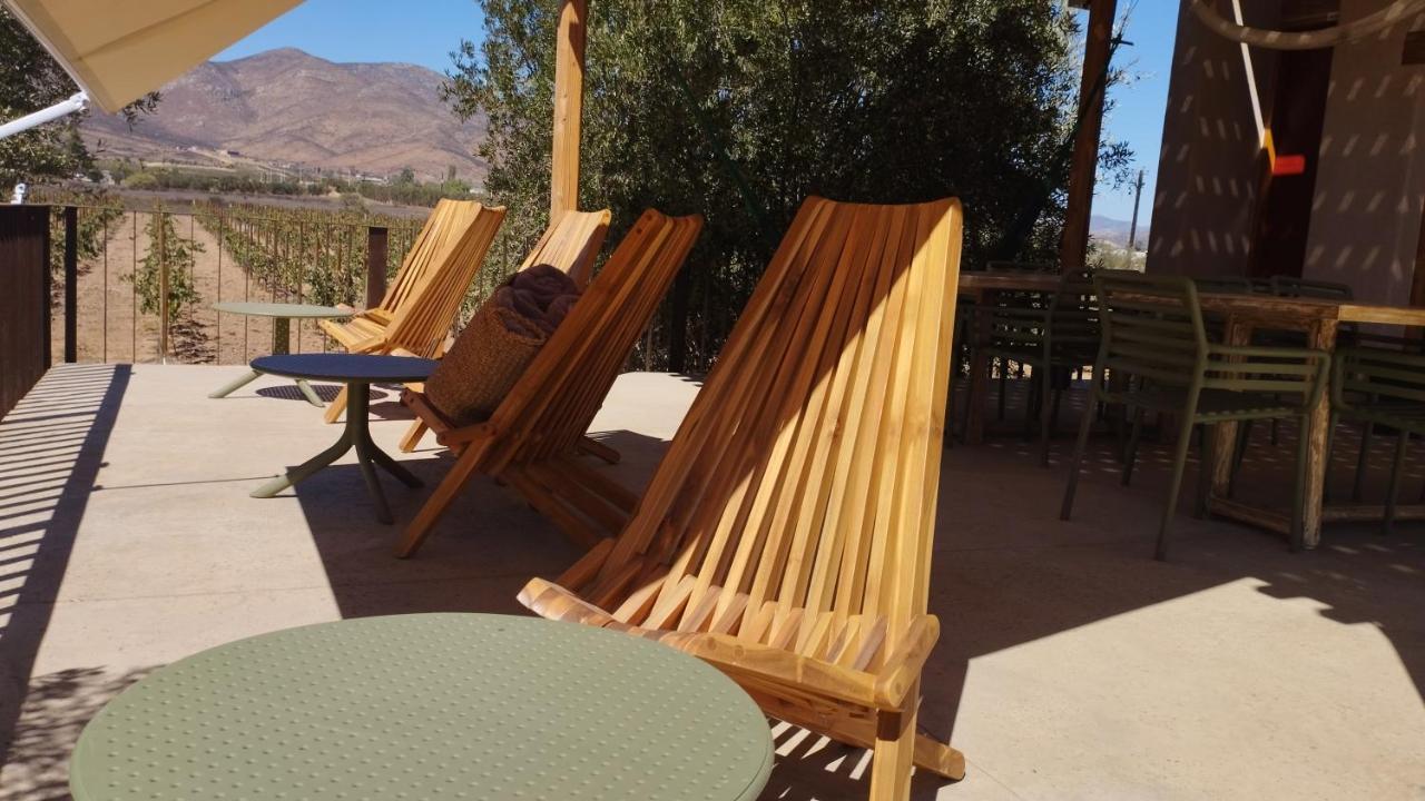 Alma Liebre Vinedos Del Valle Guadalupe Eksteriør billede