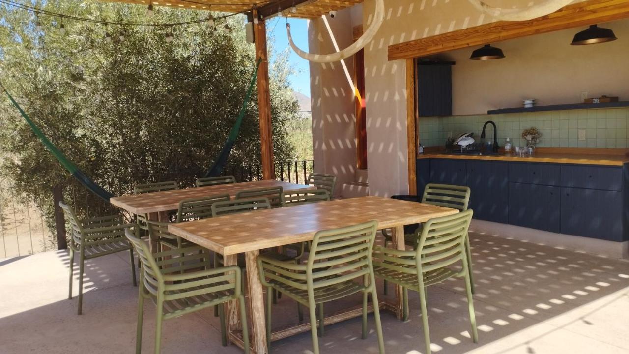 Alma Liebre Vinedos Del Valle Guadalupe Eksteriør billede
