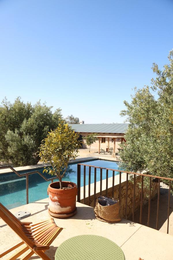 Alma Liebre Vinedos Del Valle Guadalupe Eksteriør billede