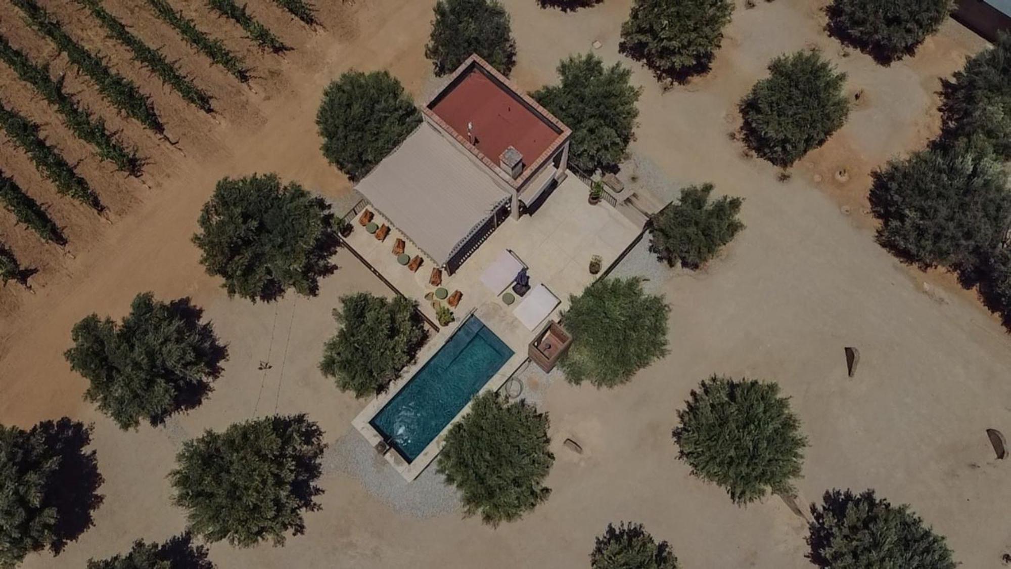 Alma Liebre Vinedos Del Valle Guadalupe Eksteriør billede
