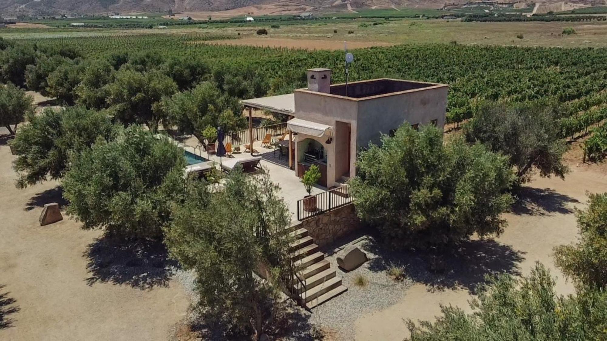 Alma Liebre Vinedos Del Valle Guadalupe Eksteriør billede