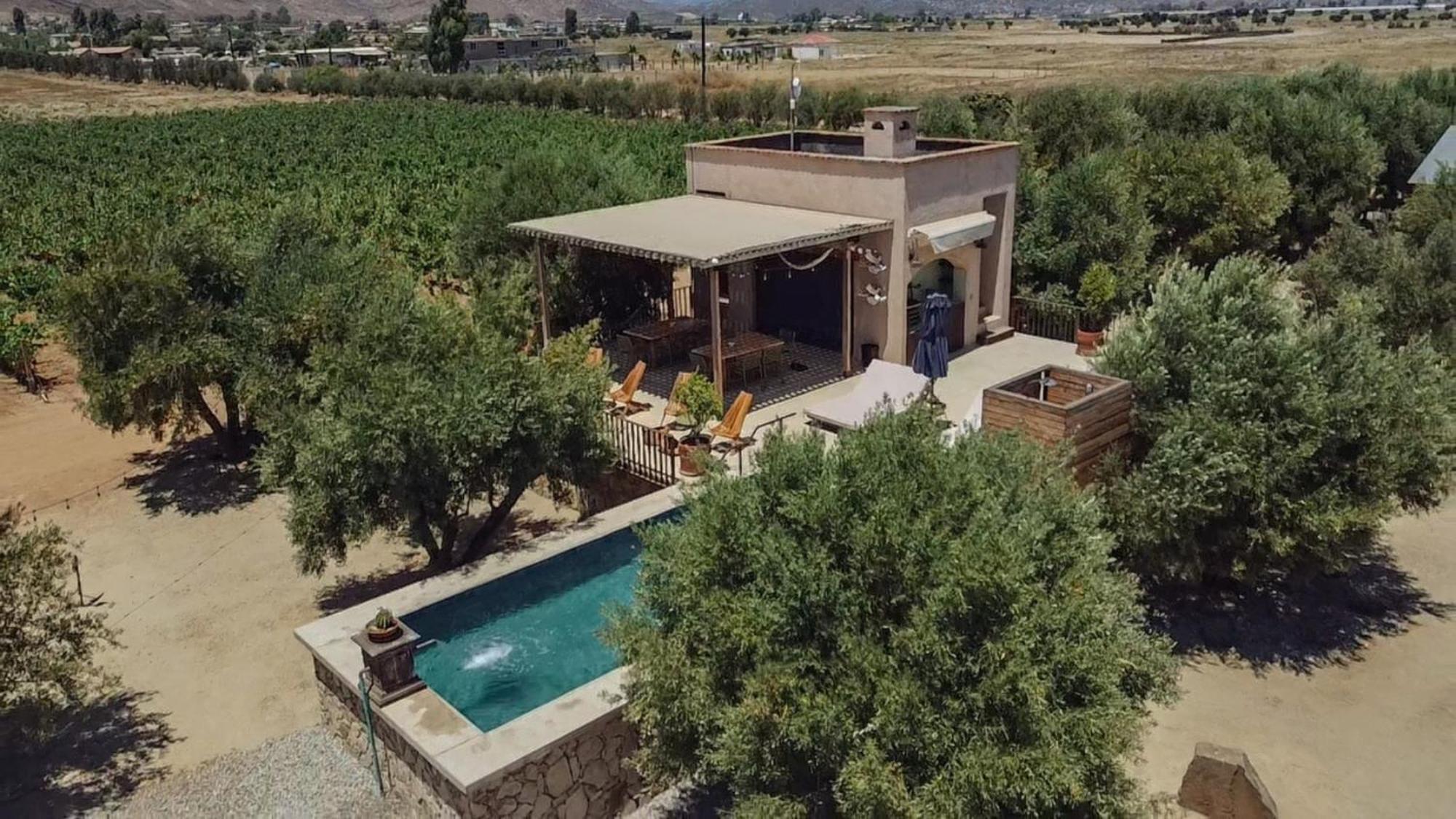 Alma Liebre Vinedos Del Valle Guadalupe Eksteriør billede