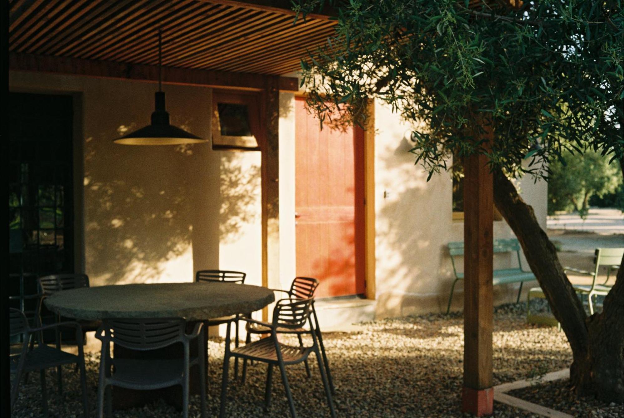 Alma Liebre Vinedos Del Valle Guadalupe Eksteriør billede