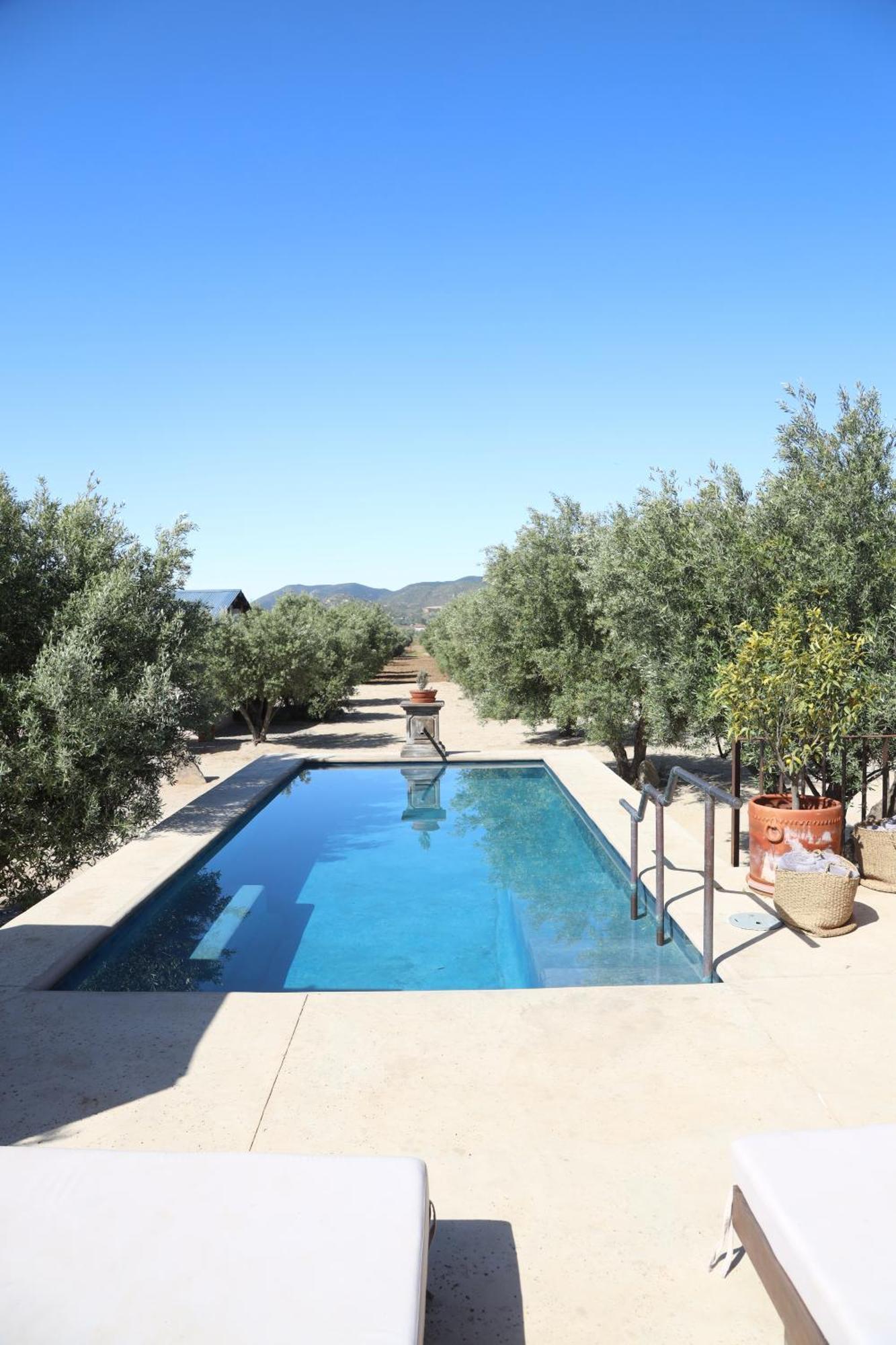 Alma Liebre Vinedos Del Valle Guadalupe Eksteriør billede