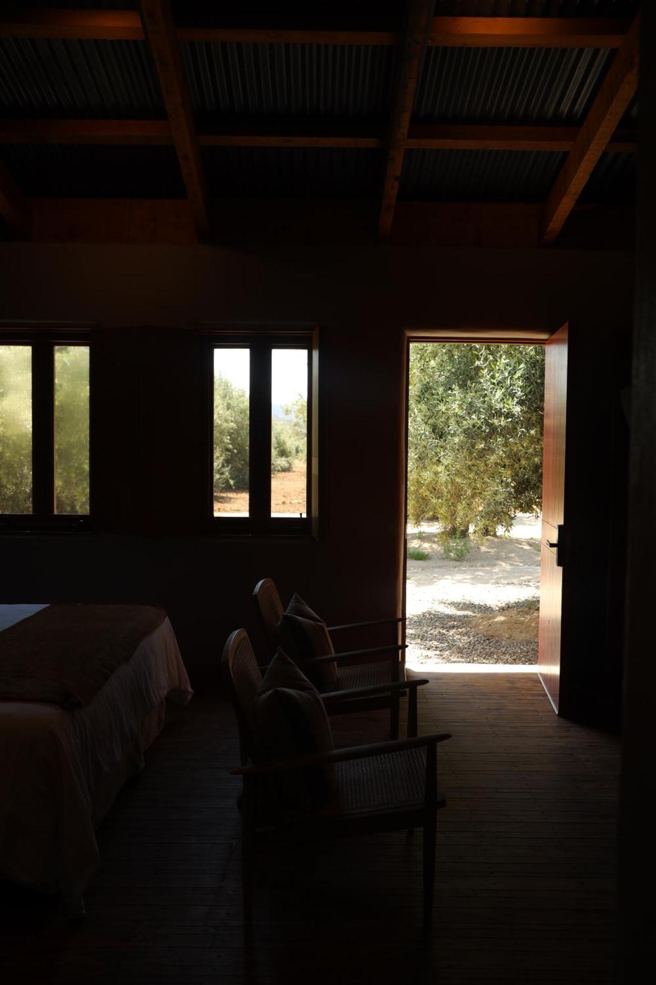 Alma Liebre Vinedos Del Valle Guadalupe Eksteriør billede