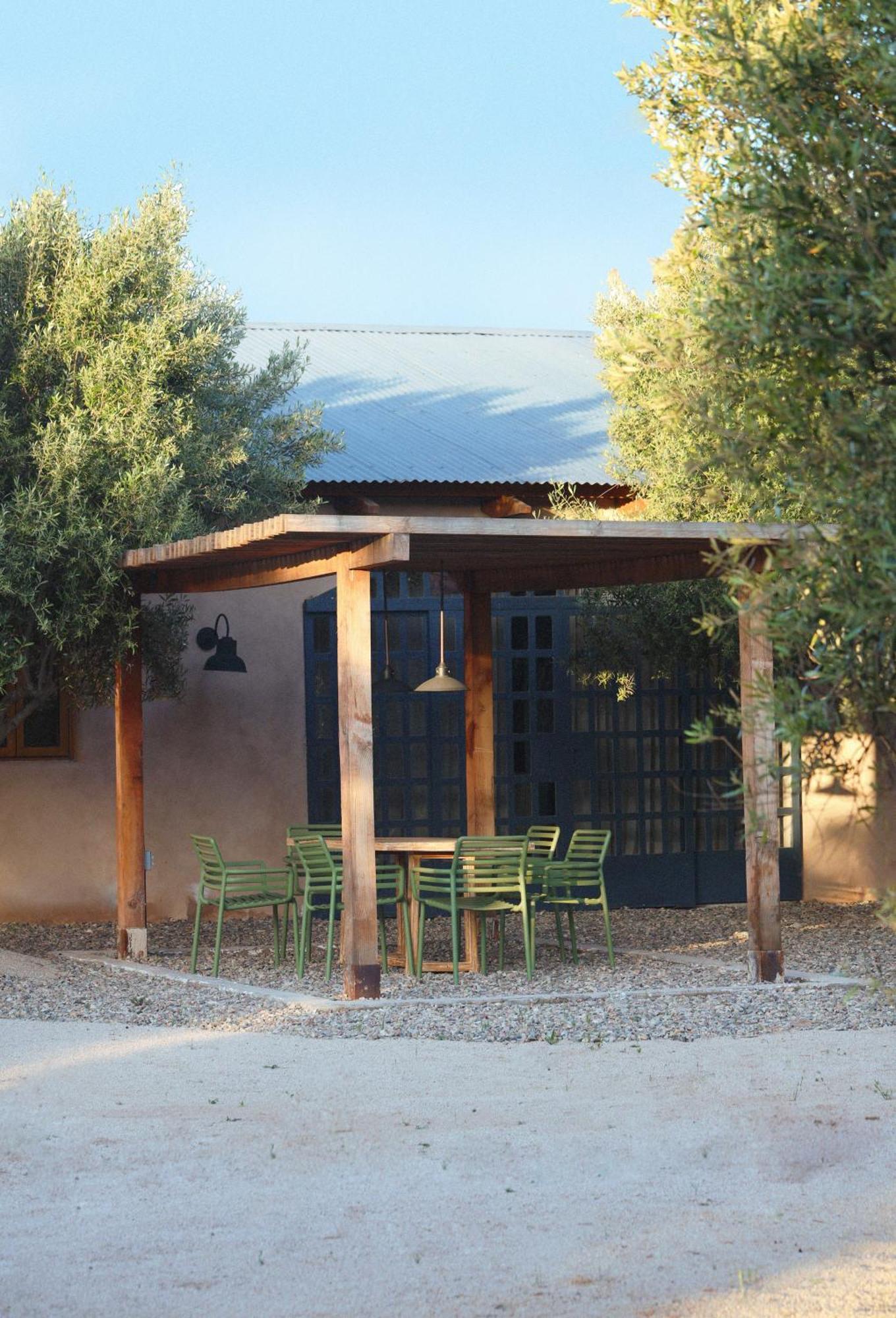 Alma Liebre Vinedos Del Valle Guadalupe Eksteriør billede